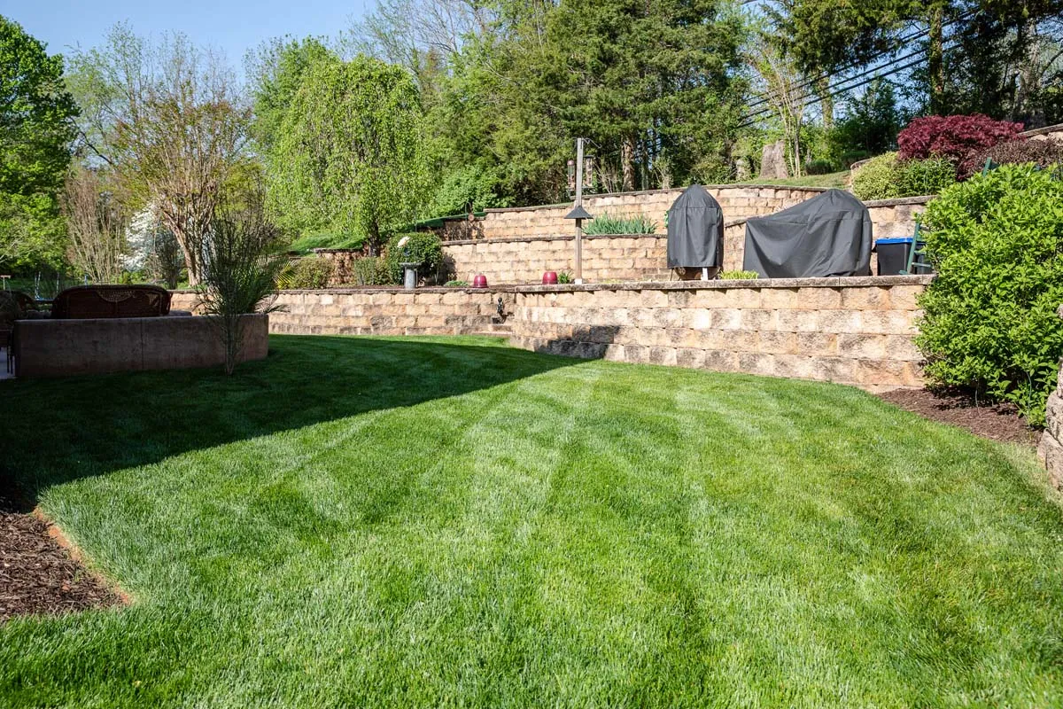 Recently mowed healthy lawn
