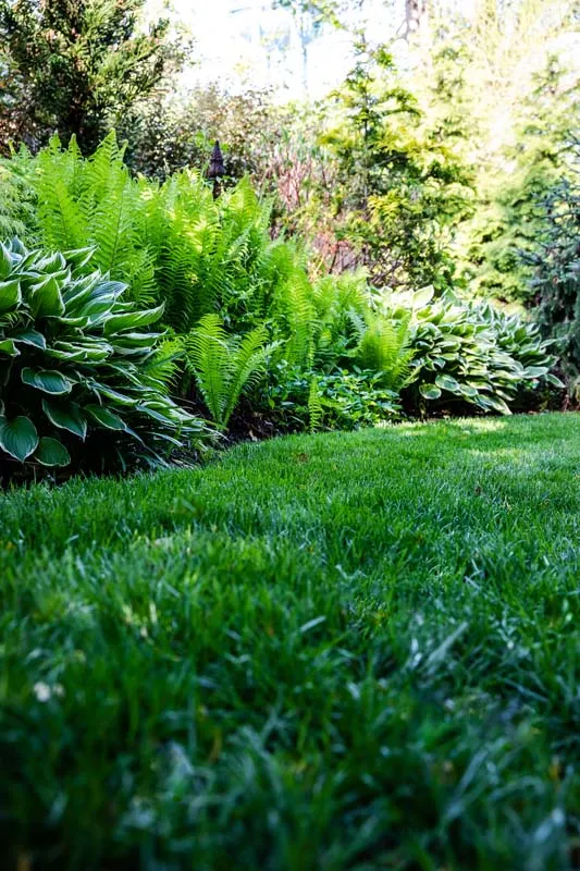 A well maintained landscaped yard
