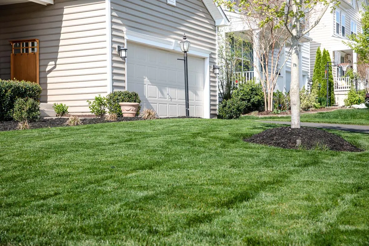 Well Trimmed Lawn
