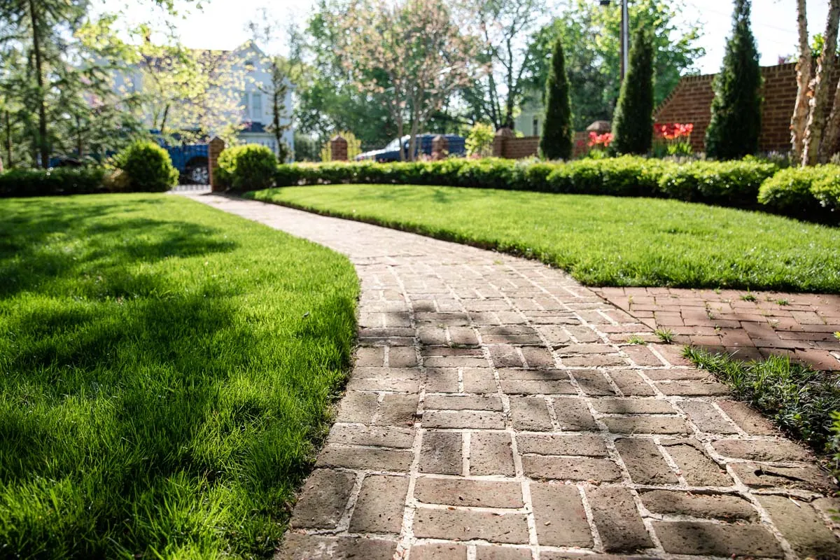 Well Trimmed Lawn and properly edged