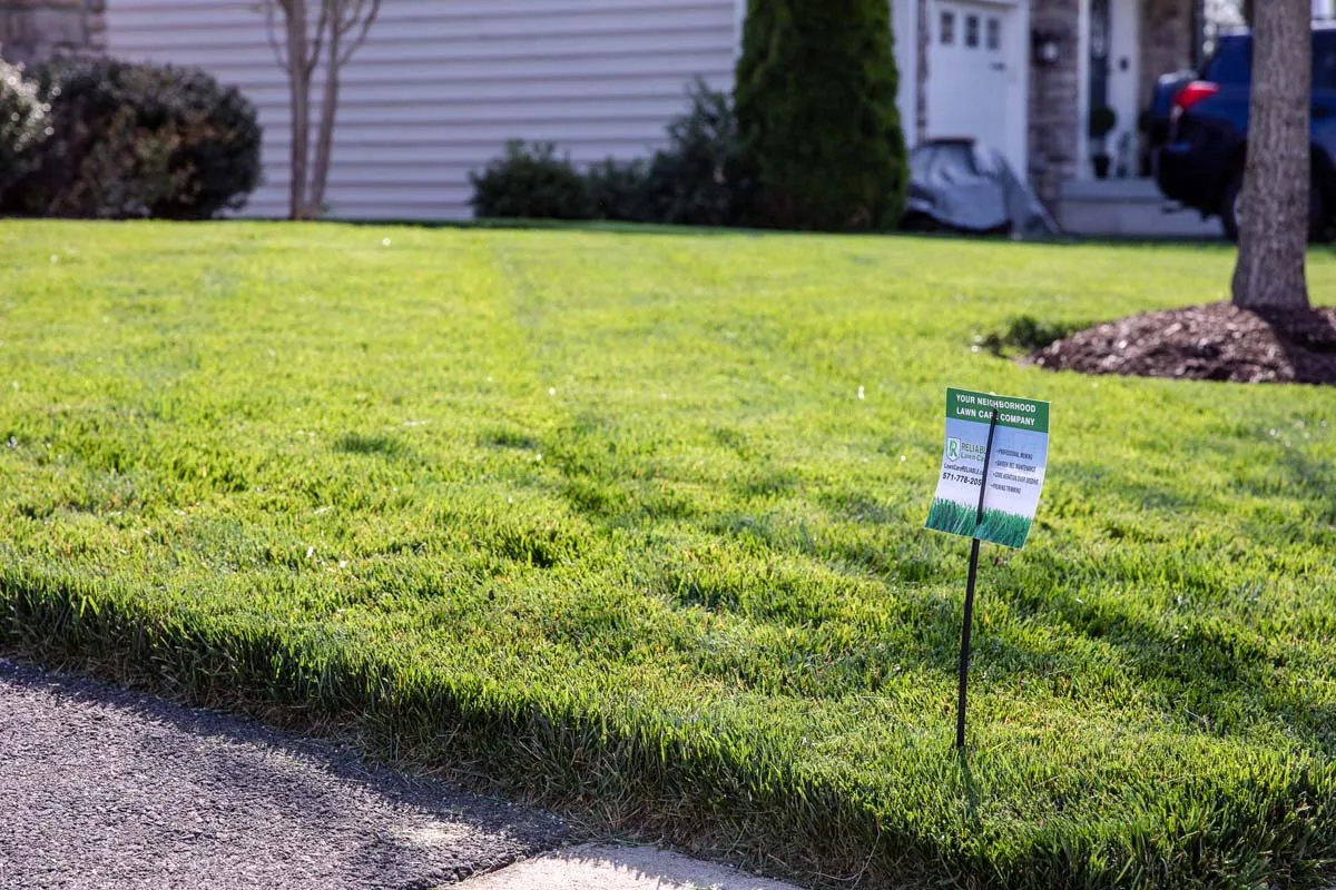 Well Trimmed Lawn