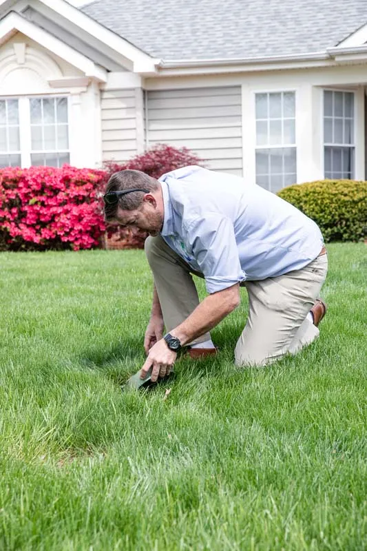 an image of a man working on his lawn