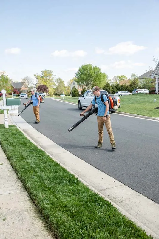 Leaf Blowing sidewalks
